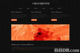 LinkDesign 专业网站设计服务，打造您的线上名片